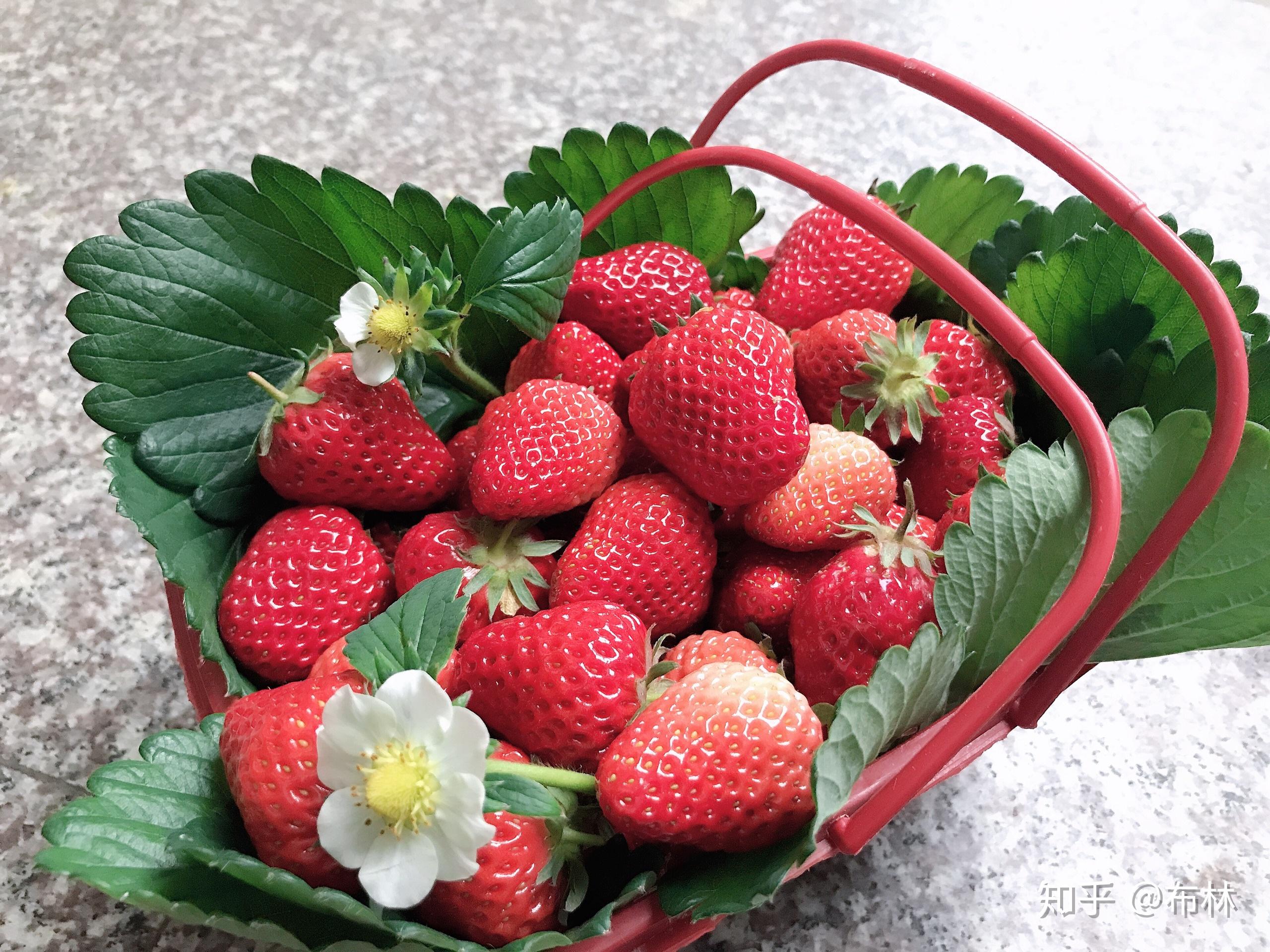 微信营销成功案例水果_水果案例营销微信成功案例分享_水果产品的微信营销方案