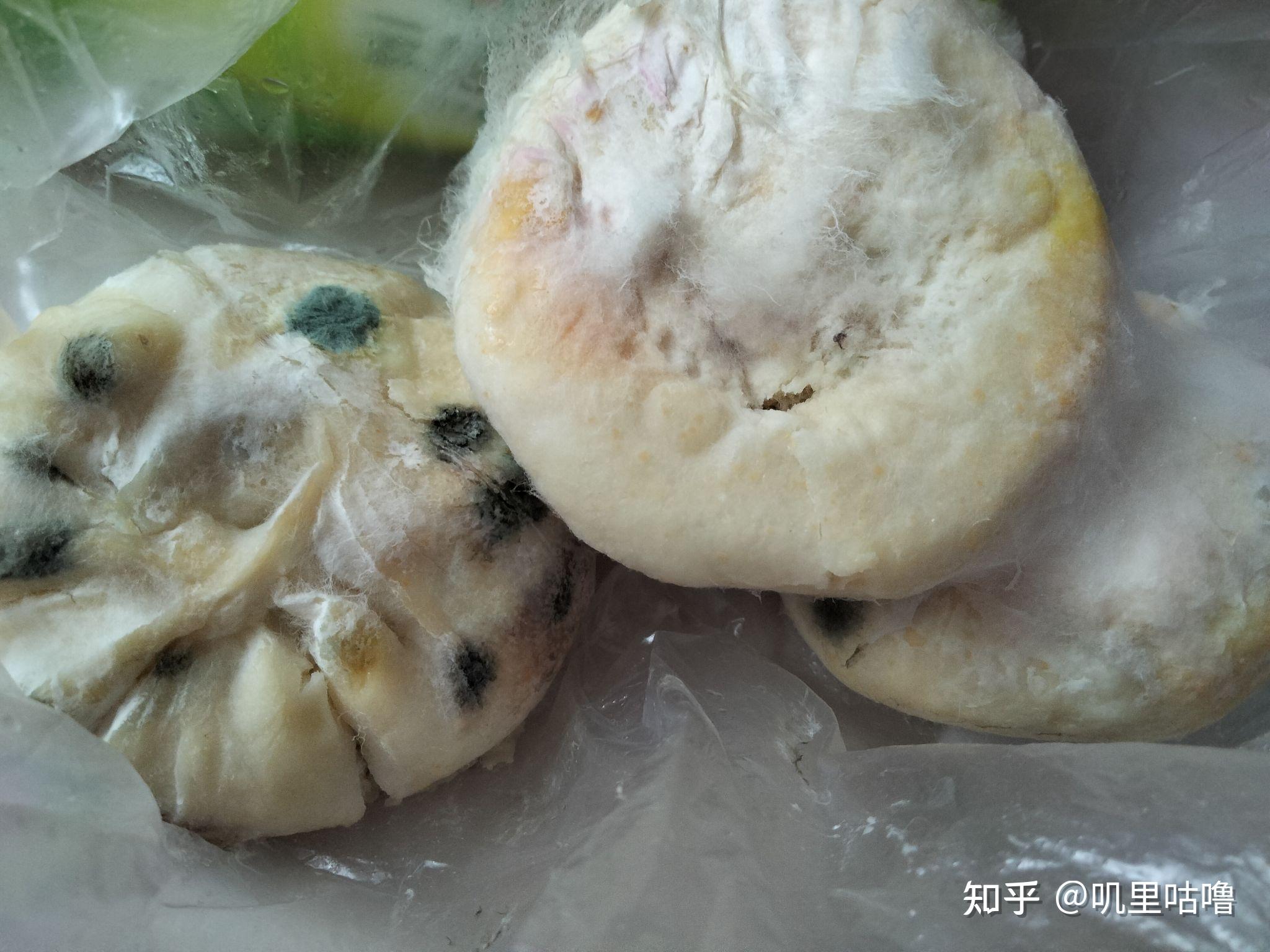 如何让一块馒头更快发霉?
