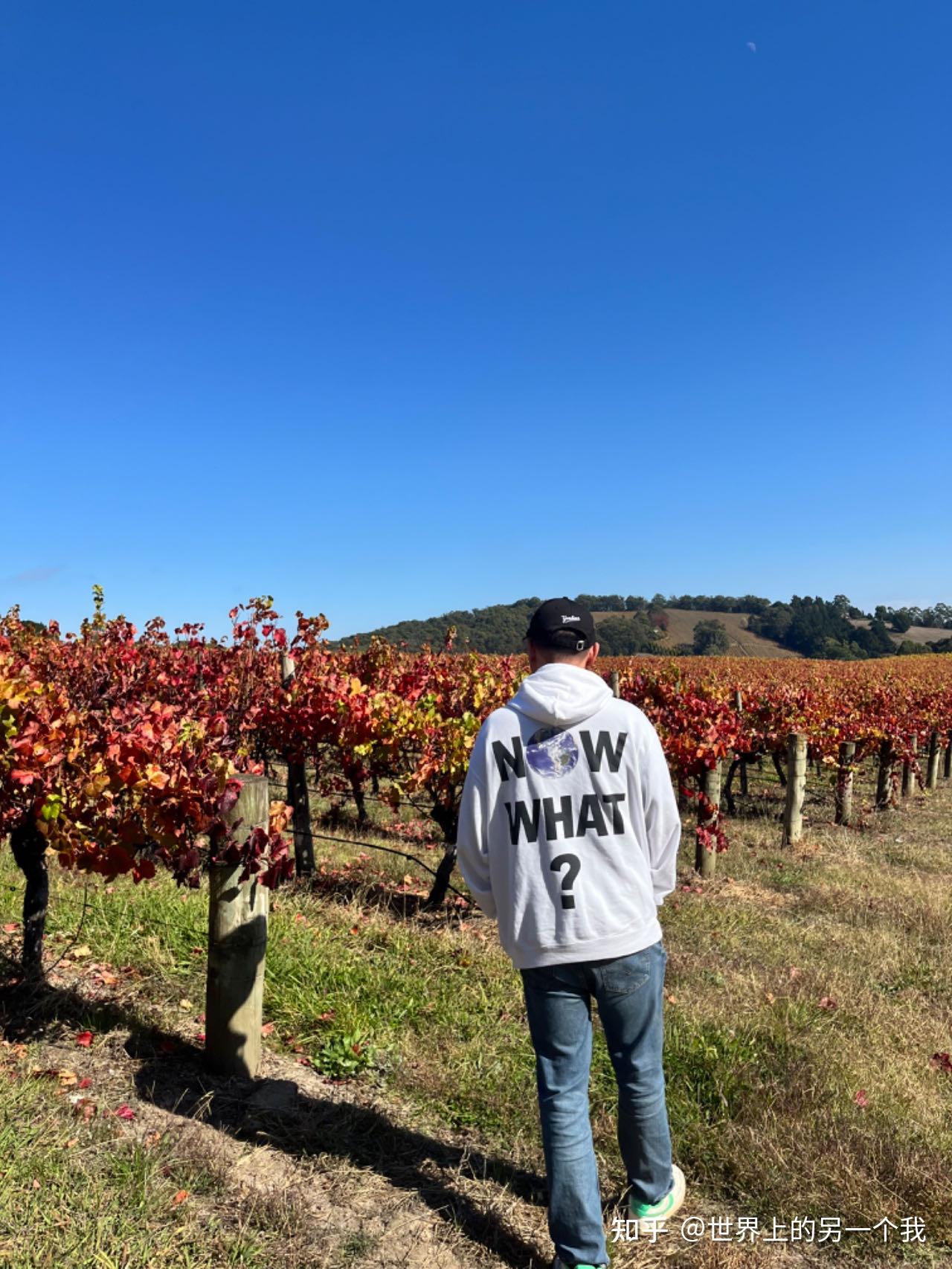 阿德莱德天气在线