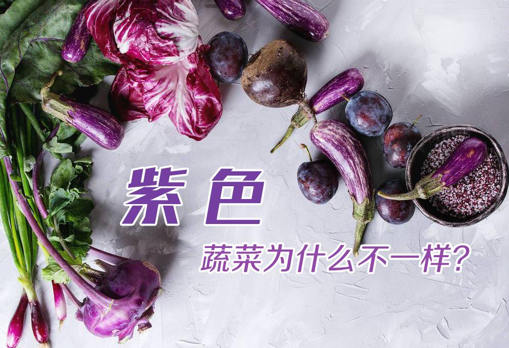 分享30种 紫色 蔬菜 这些你都吃过吗 看看你认识几种 知乎 分享30种 紫色 蔬菜 这些你都吃过吗 看看你认识几种 知乎