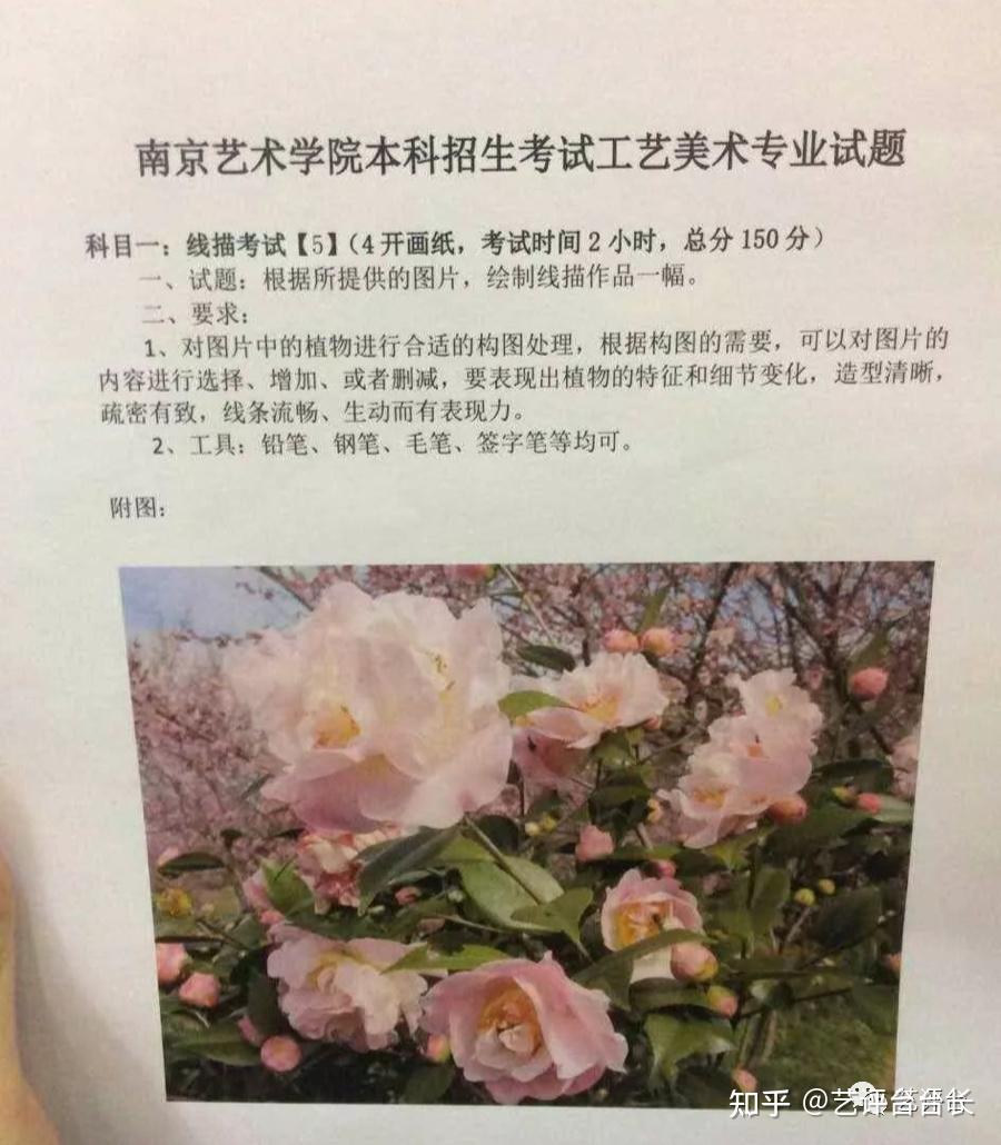 南京艺术学院历年校考考题及高分卷赏析