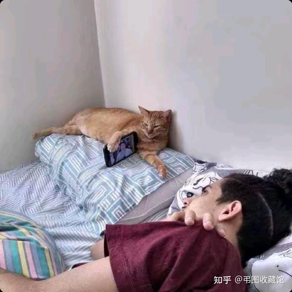 你有哪些非常搞笑的搞笑图片 - 知乎