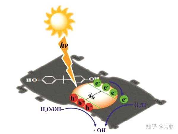 双酚 a 的光催化降解机理.