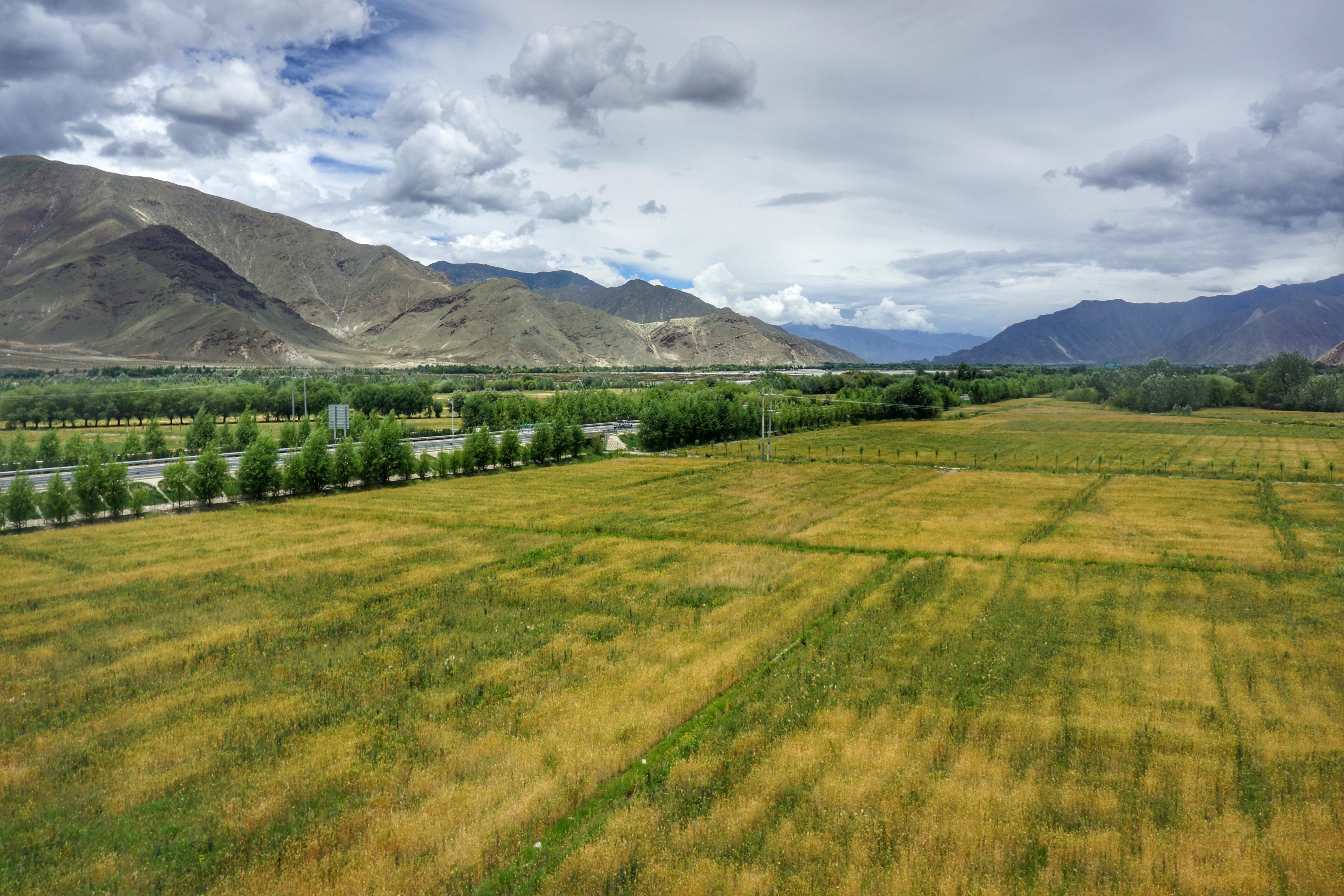 微课2:高寒牧区和河谷农业区