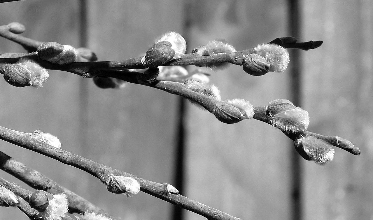 3. 智能家居配置