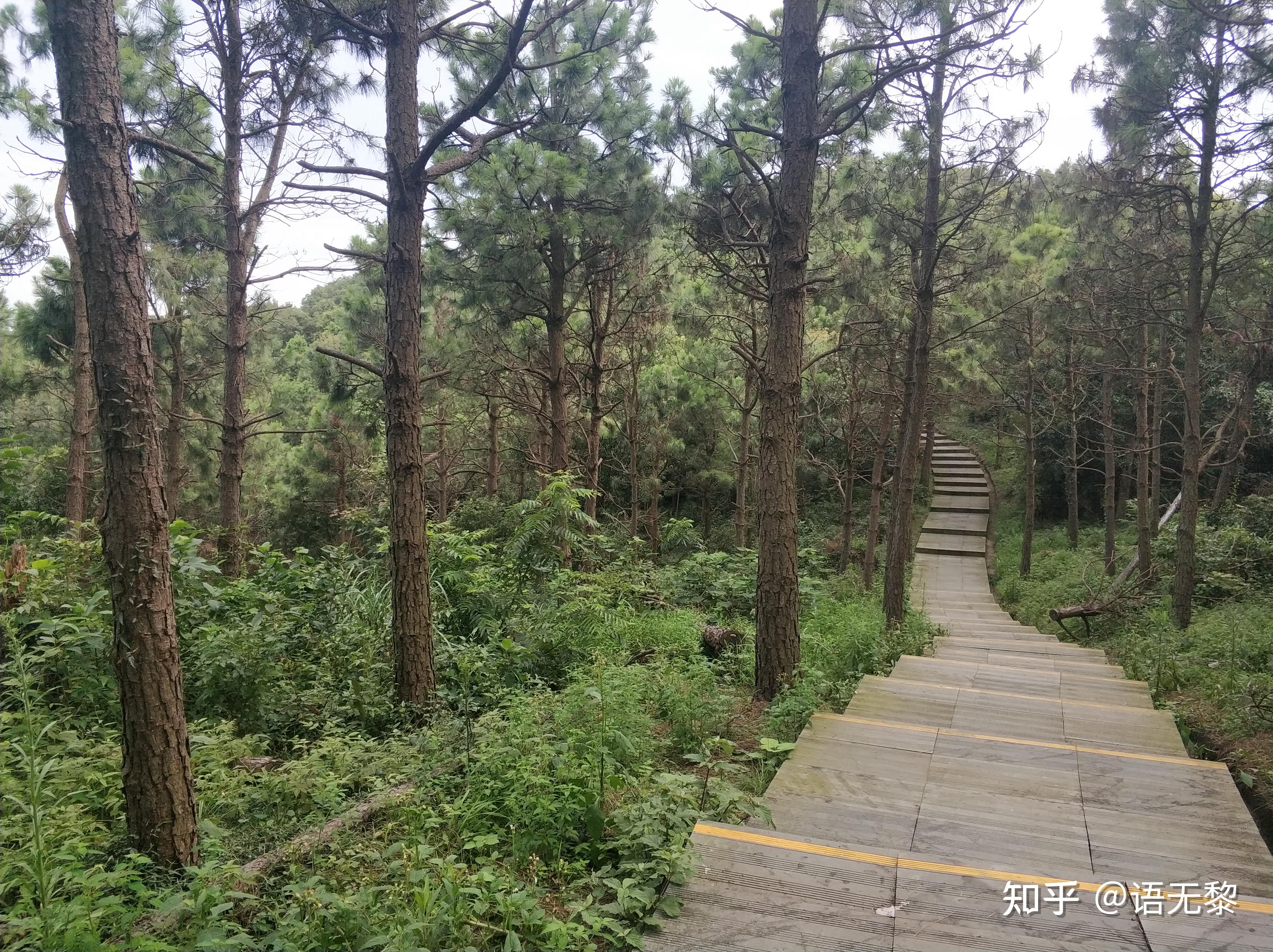 大榭島——七頂山 - 知乎