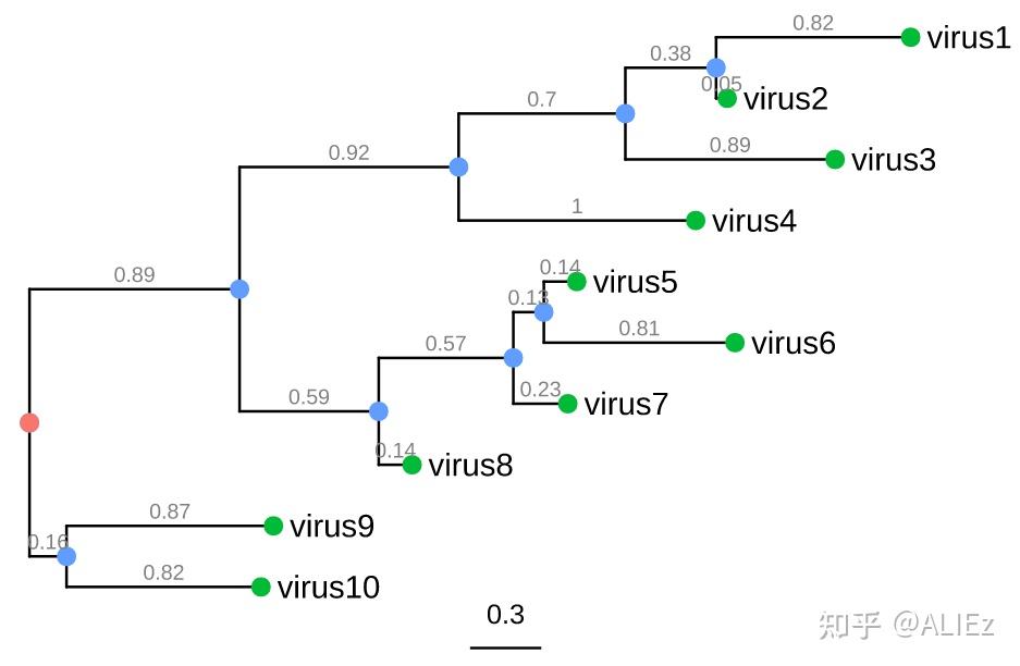 R语言绘制进化树：treeio+ggtree - 知乎