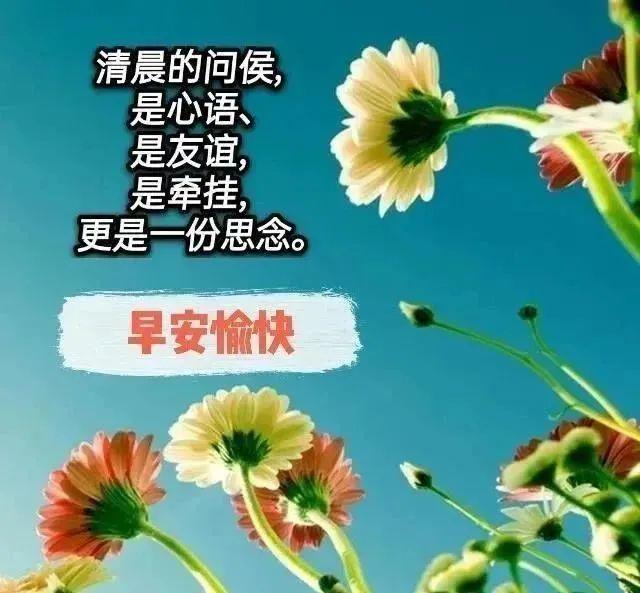 11张春暖花开早安图片带字推荐早上好问候语图片