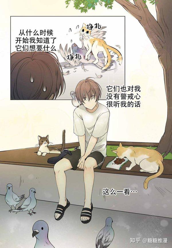 漫画《帮暗恋对象撸猫的日子》 - 知乎