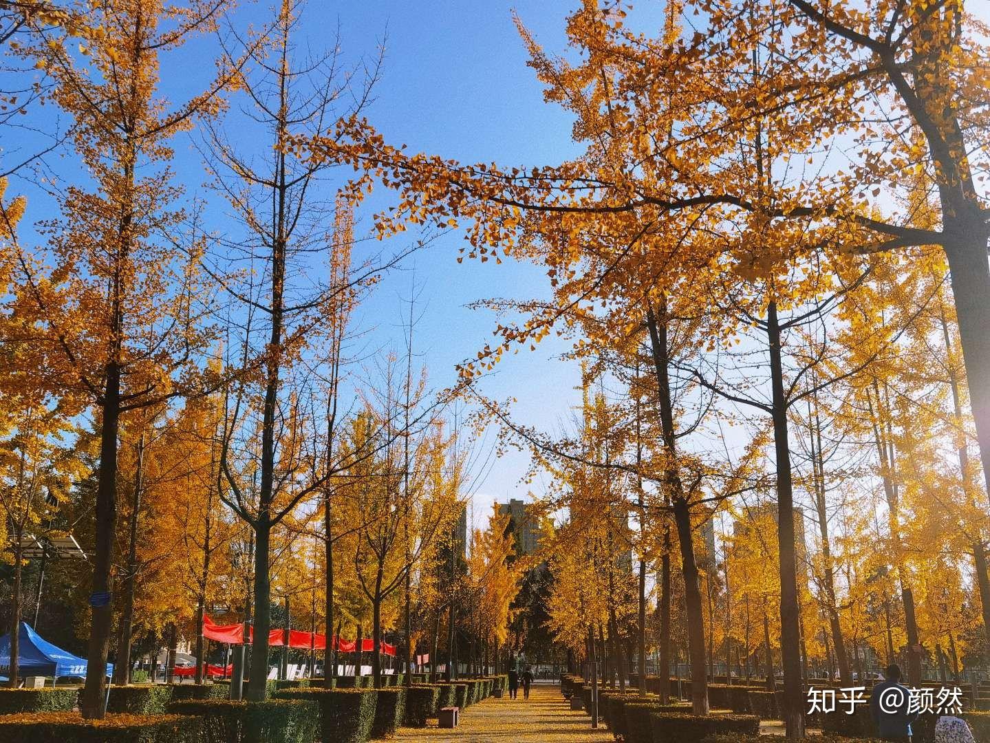 西安邮电大学的校园环境如何? - 知乎