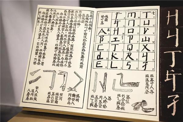 徐冰的灵感来源?徐冰为什么要这么创作? - 知乎