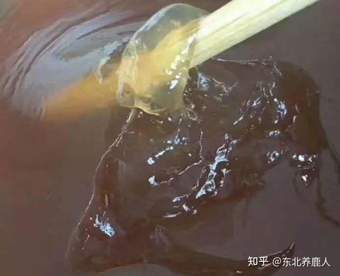 开元棋牌- 开元棋牌官方网站- 开元棋牌APP下载一万块创业在农村养殖干什么好