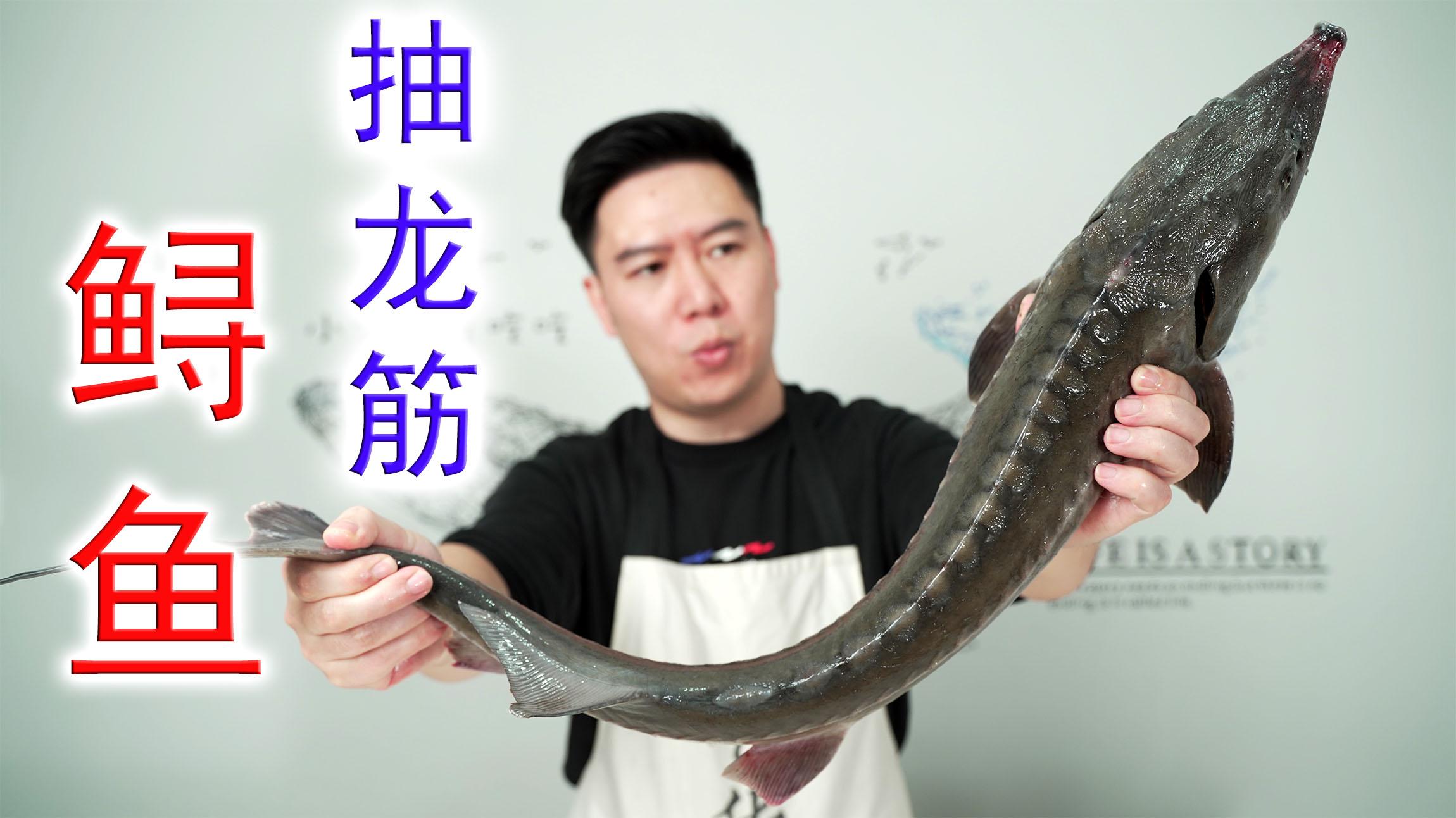 试吃一条16斤的美人鲨非常罕见出锅后却翻车了中看不中用