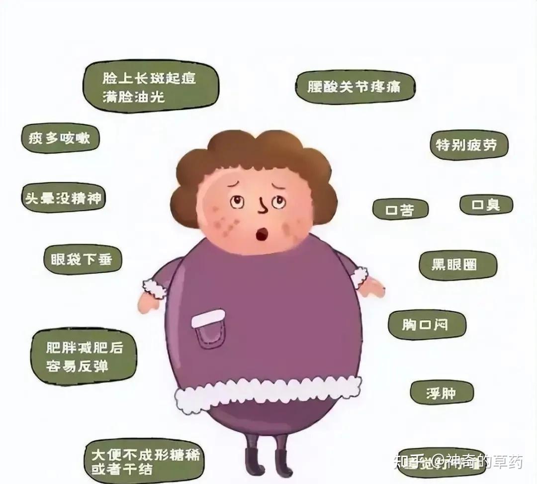 史上最全脾虚症状大总结!理清你的脾虚是哪一种,对症选方才有效 - 知乎