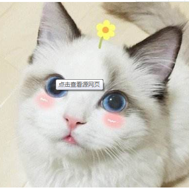 车扑网