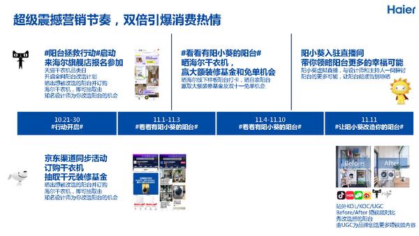 2020年海尔洗衣机双十一营销规划方案