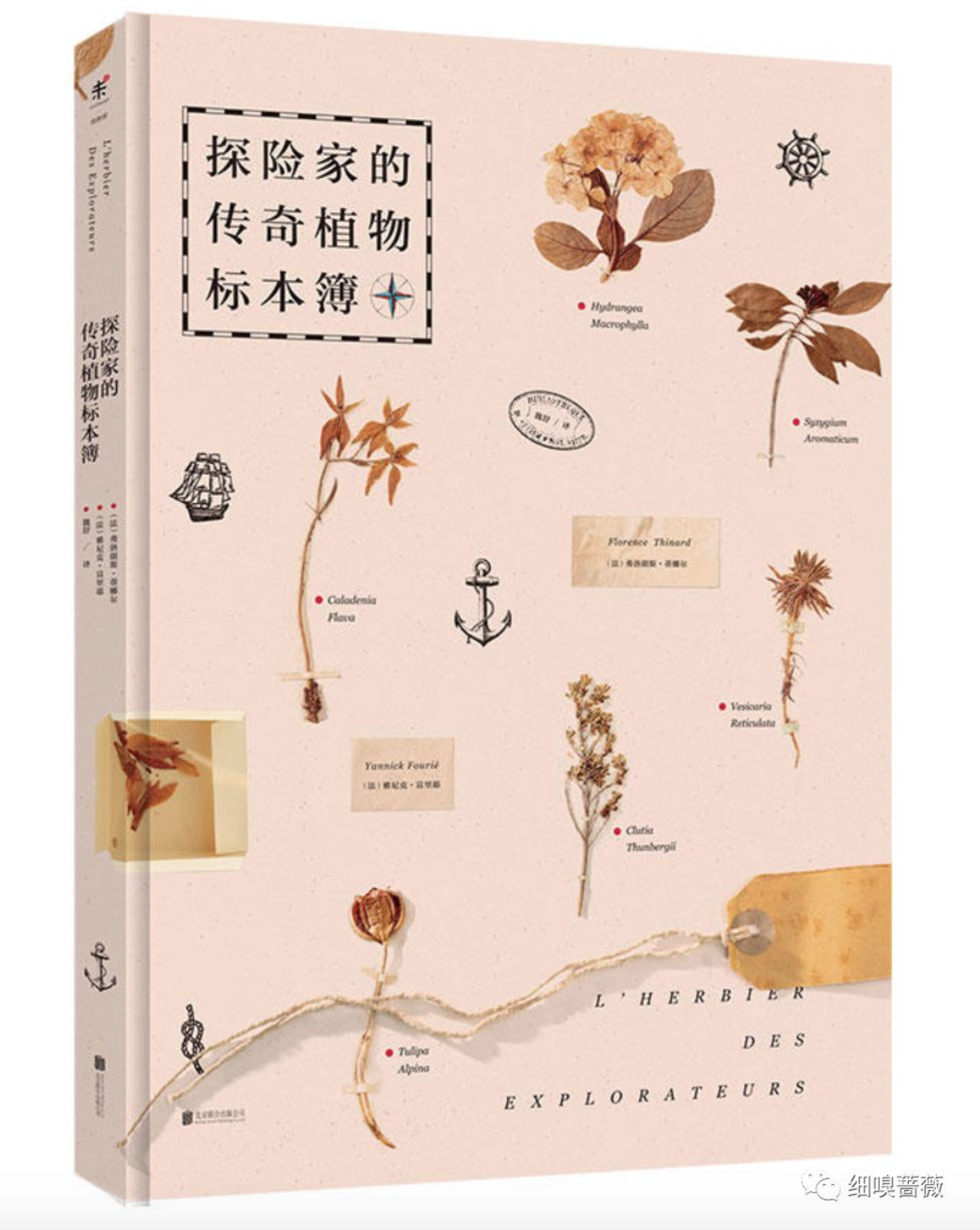 推荐一本讲植物的书