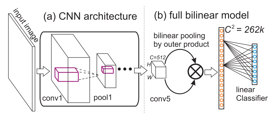 Low-rank Bilinear Pooling for Fine-Grained Classification论文笔记 - 知乎