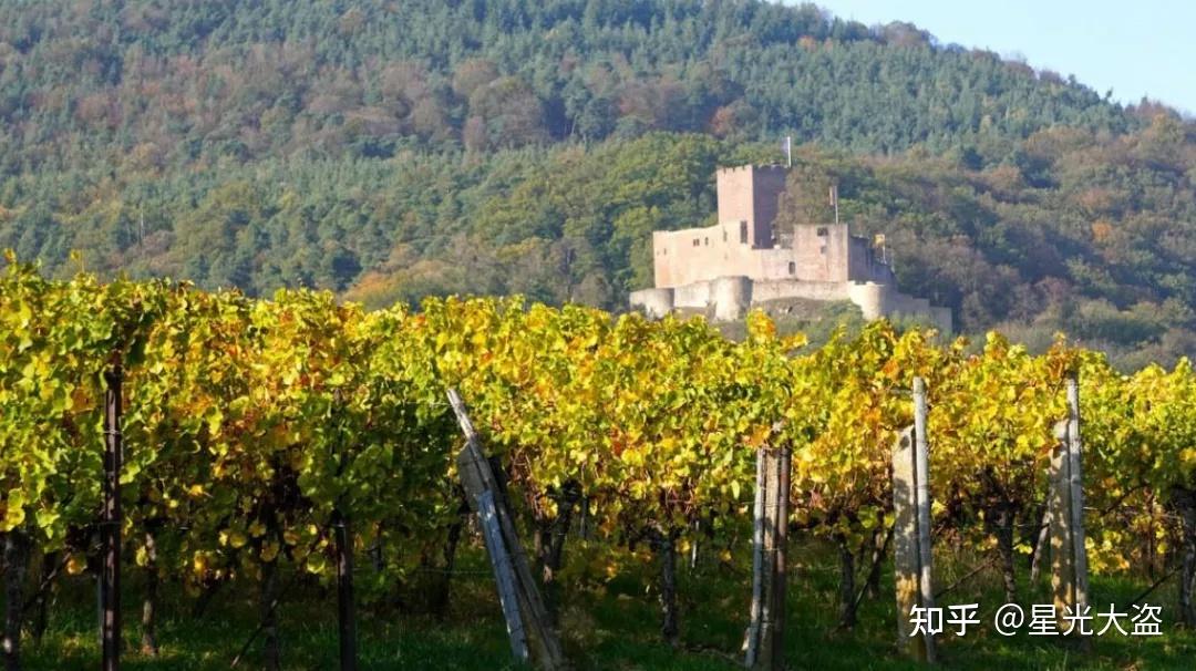 法国干邑镇一部燃烧500年的历史教科书