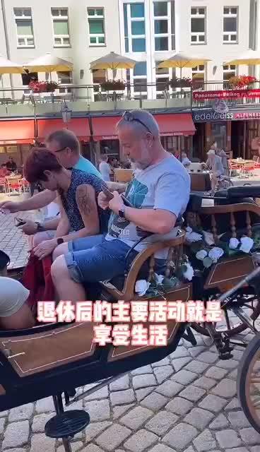 德国ssgp叁肆钢 多功能切菜器