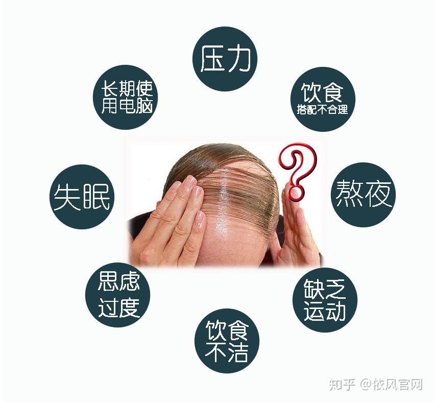 8个养发小秘诀,科学的养发护发 - 知乎
