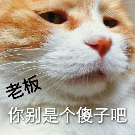 时间很紧!速进!