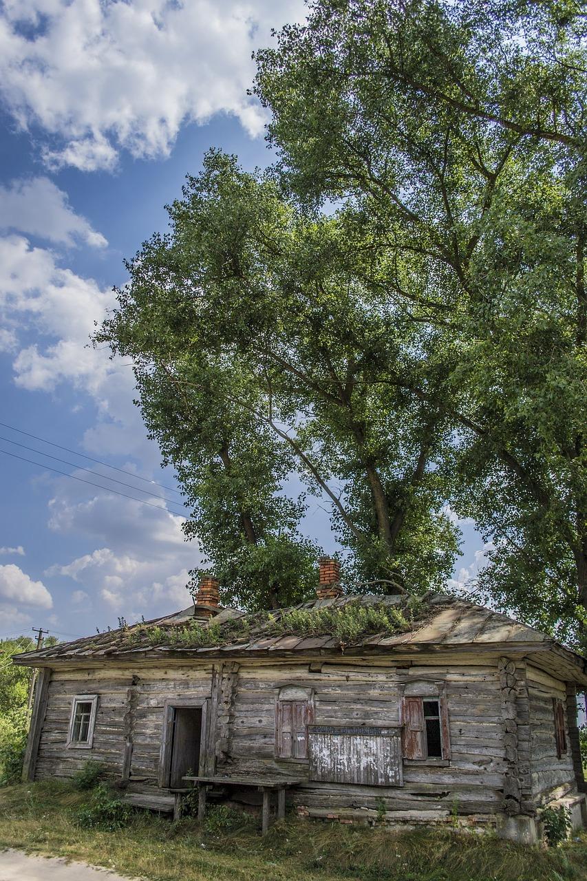 儿童床木材选择