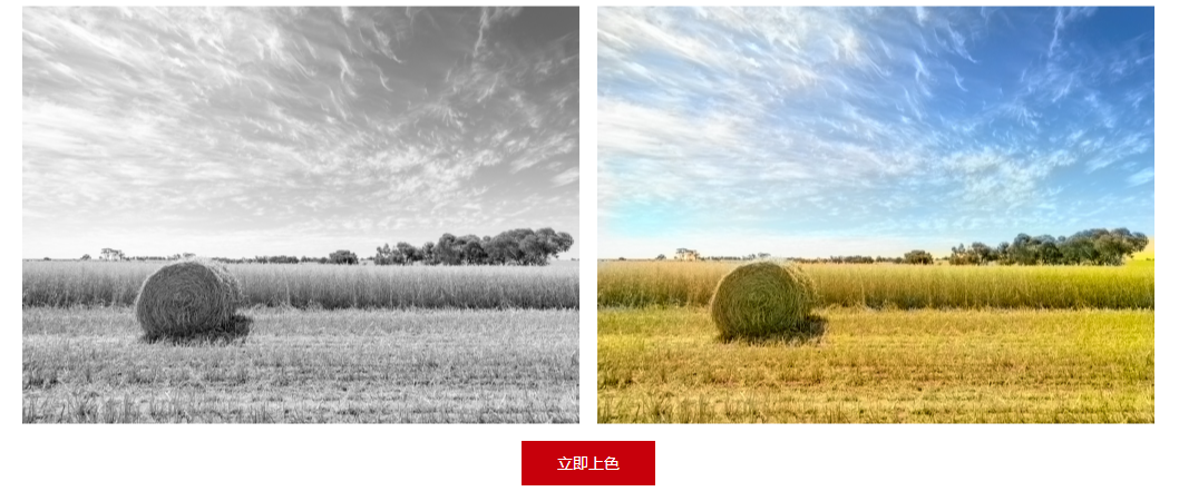 宝藏昇腾AI应用推荐!CANN带你体验黑白图像自动上色的快乐~ 宝藏昇腾AI应用推荐!CANN带你体验黑白图像自动上色的快乐~