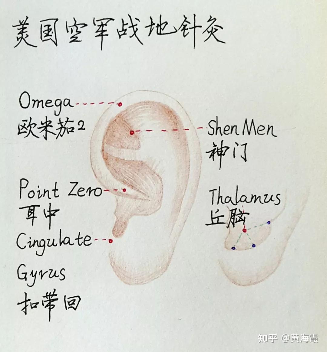 关于耳朵两三是耳穴疗法 ,“神门穴”的作用及主治有那些? - 知乎