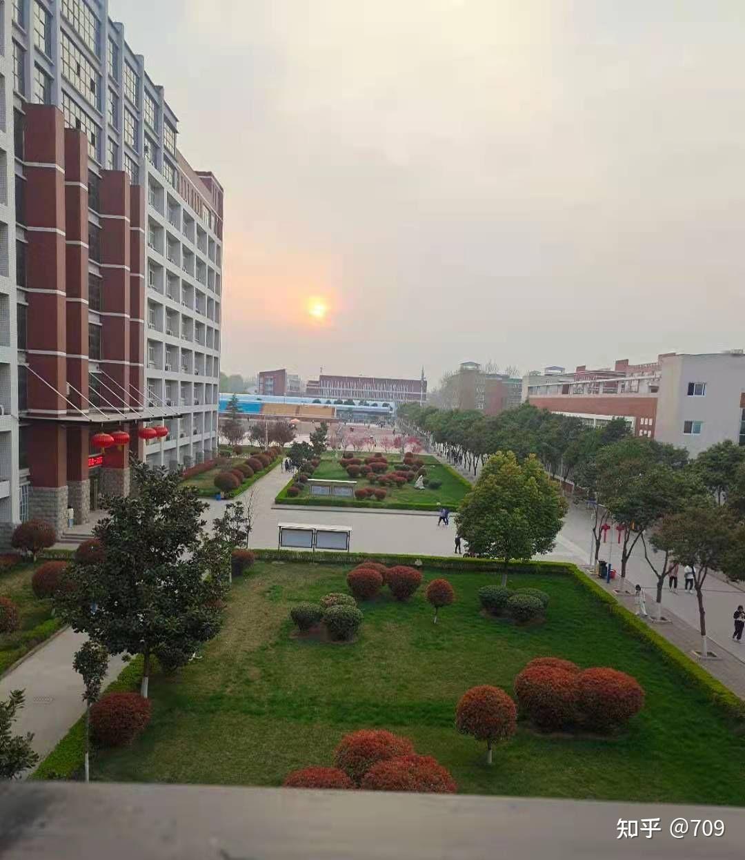 焦作工贸职业学院单招的话能填报几个专业