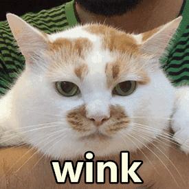 v2-e18b64c08f8fe8ff2d55b433ef7c07c4_b.jpg