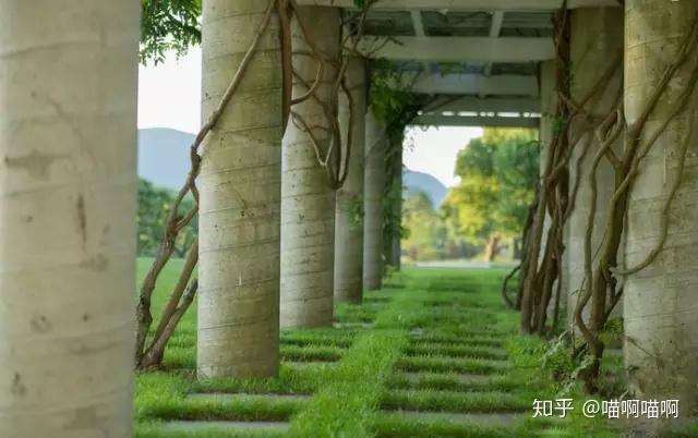 那些超越时代的设计师们(5)| 丹·凯利(Dan kiley)与解构主义 - 知乎