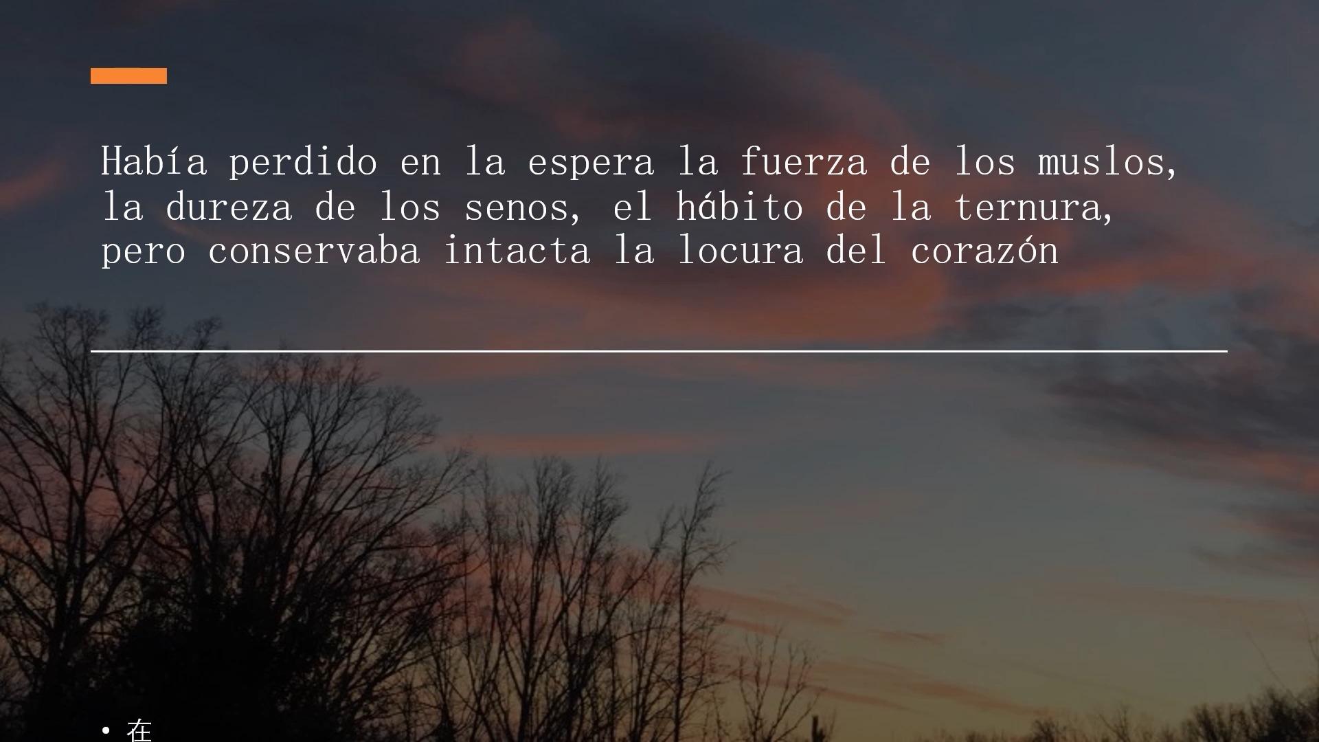 那些可以体现孤独的句子