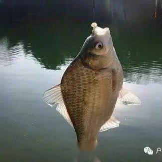 鱼钩知识详解和鱼钩的结构介绍 - 知乎