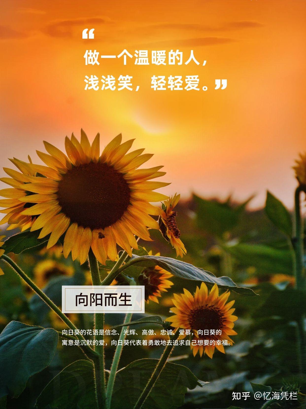 分享一些好好热爱自己的文案吧