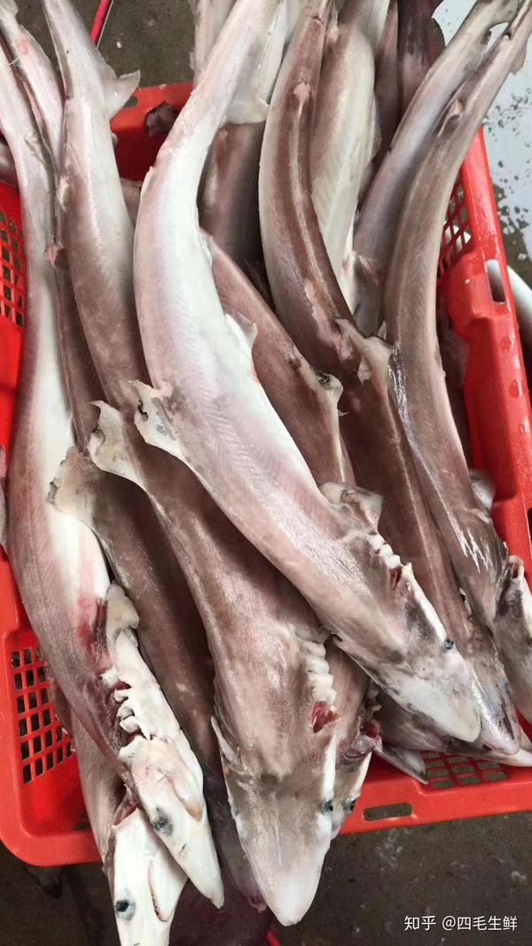 去东山岛一定要吃的特色海鲜