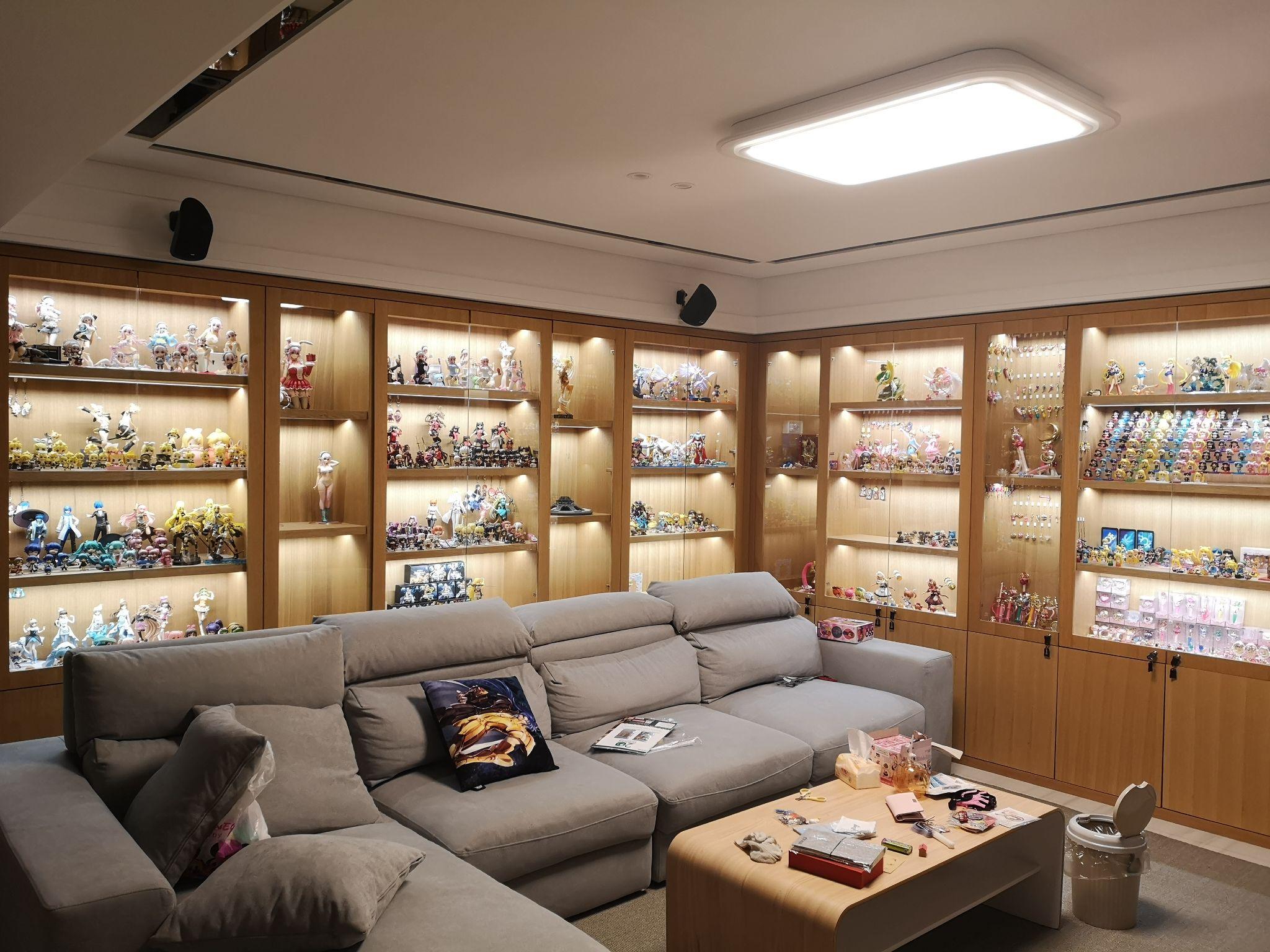 作为手办爱好者你在家里是怎么收纳手办的