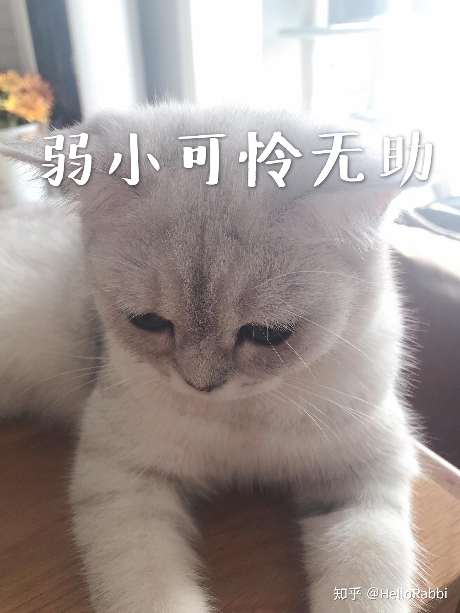 v2-e1b3632111c7a4c24ae900f1dafeb70c_r.jpg