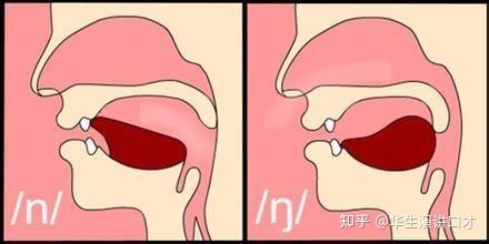 发声点和发声位置图解图片