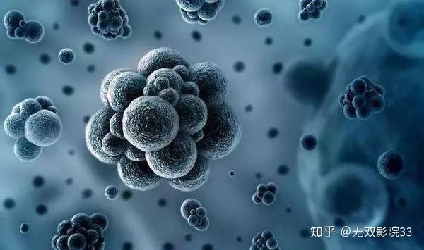 《绝对好奇:细胞战场》bbc纪录片讲述病毒入侵人体全过程,看完忍不住