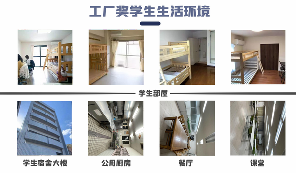 请输入图片描述