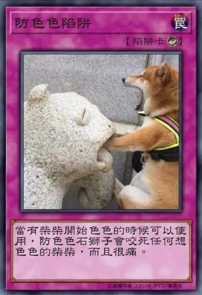 色色柴犬卡牌