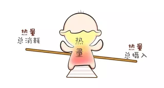 减肥的你知道自己每天消耗多少热量么