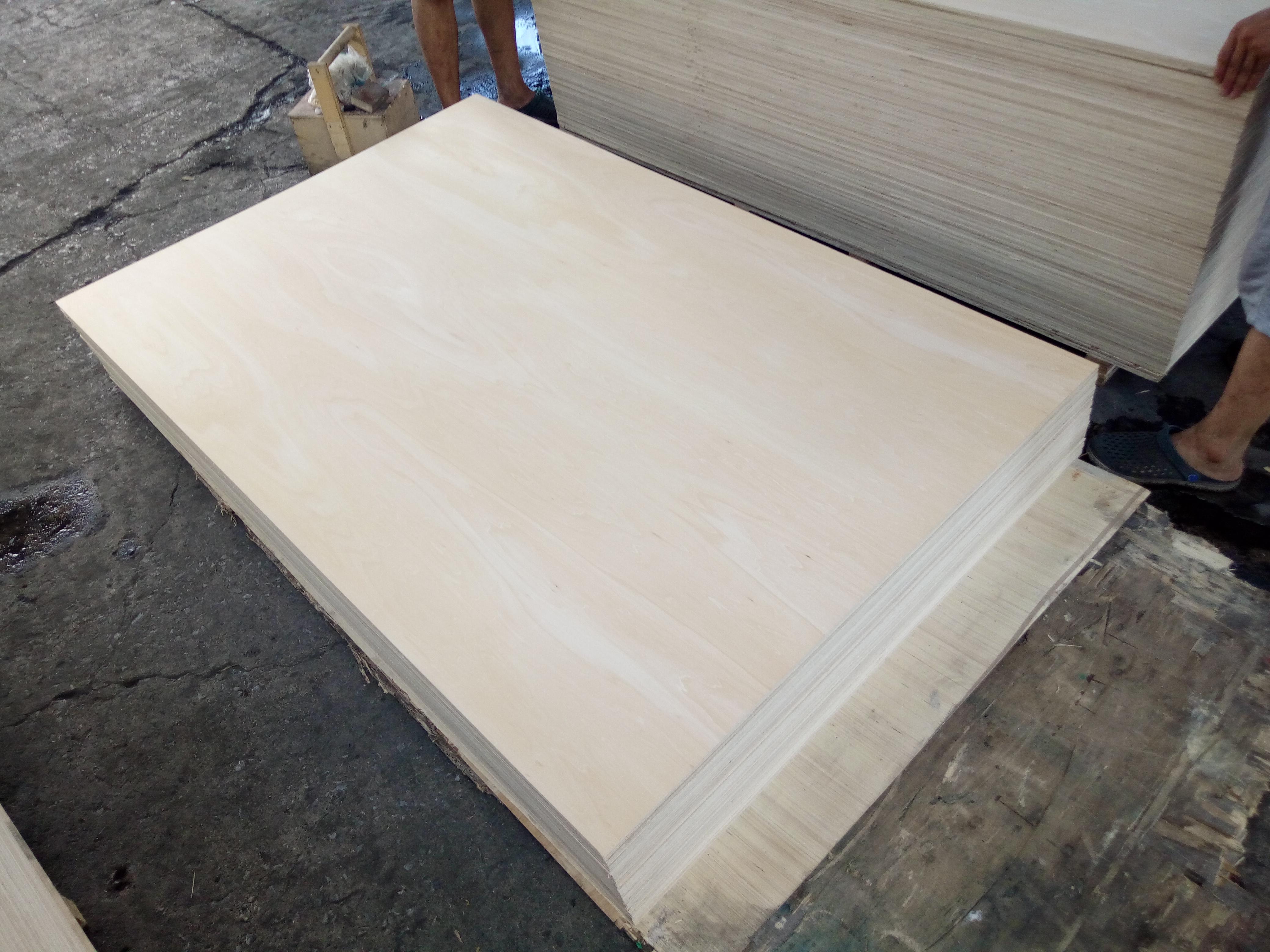 椴木胶合板是什么?