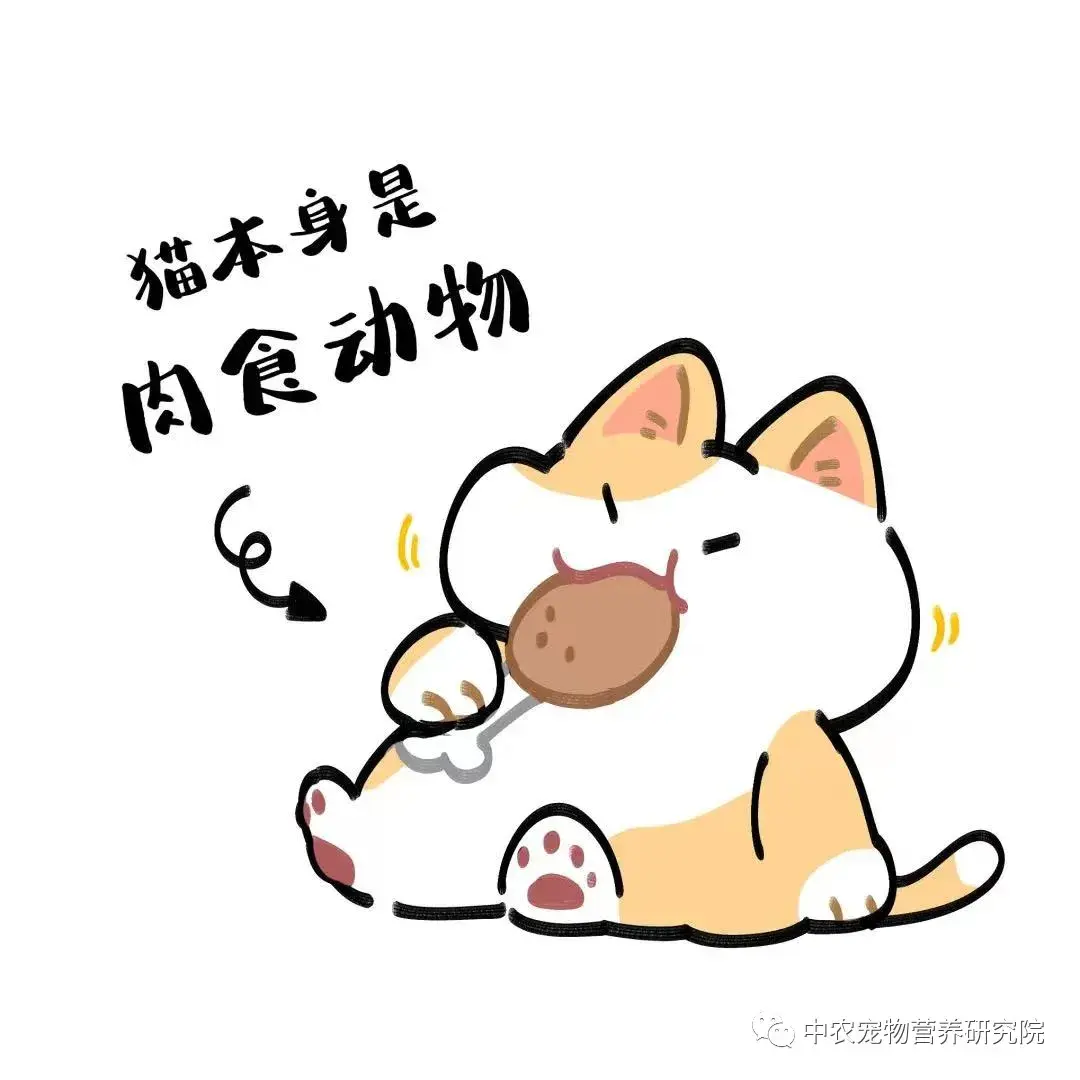 吃肉 ,有这些好处!