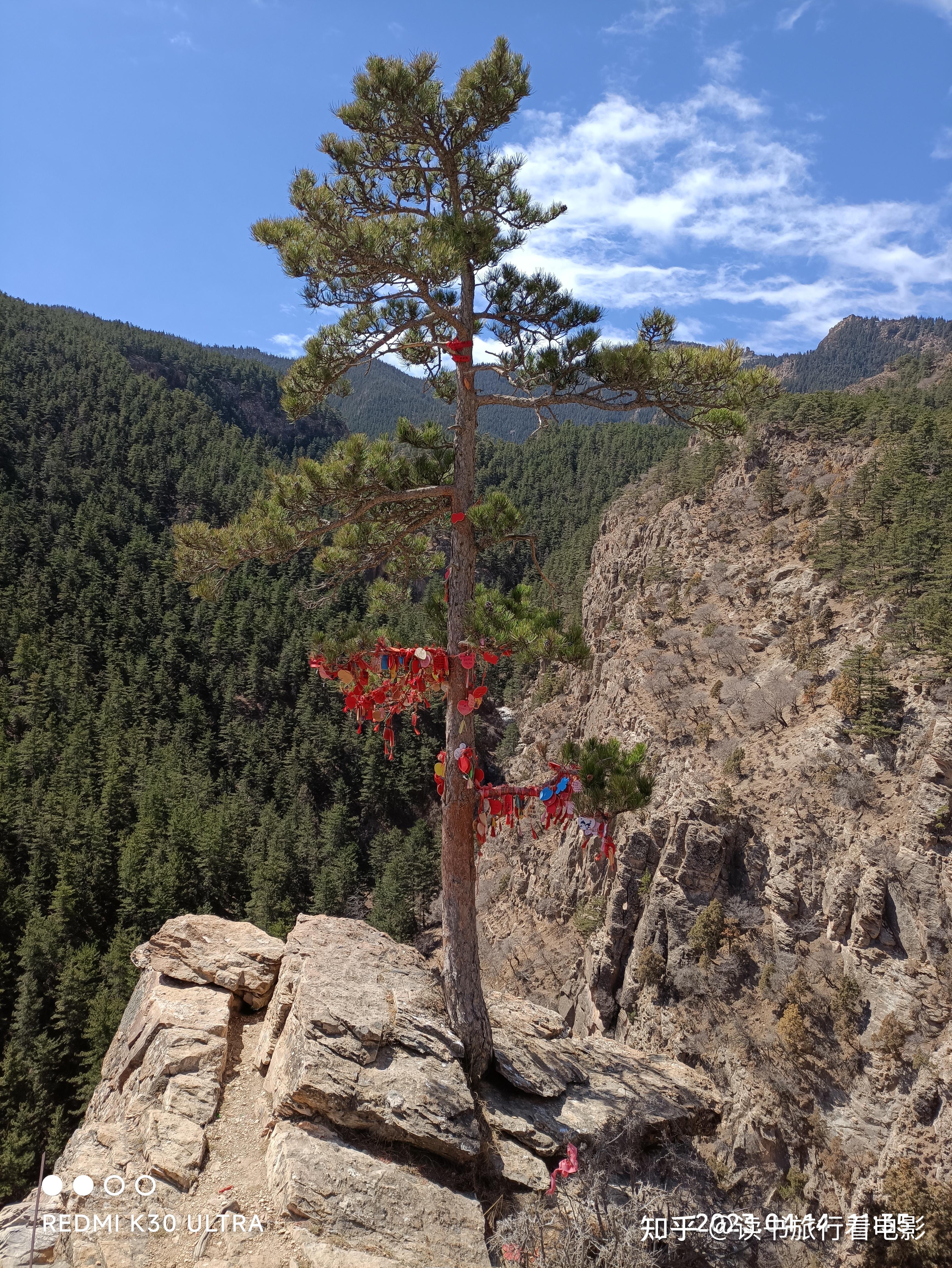 背包游:银川市贺兰山国家森林公园游记 - 知乎