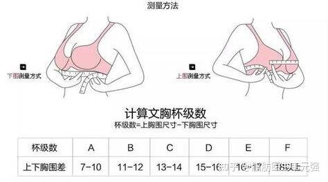 有人科普下罩杯大小吗? - 知乎