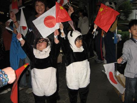 带你了解中日友谊延续的伟大功臣浜家族的熊猫英雄妈妈们