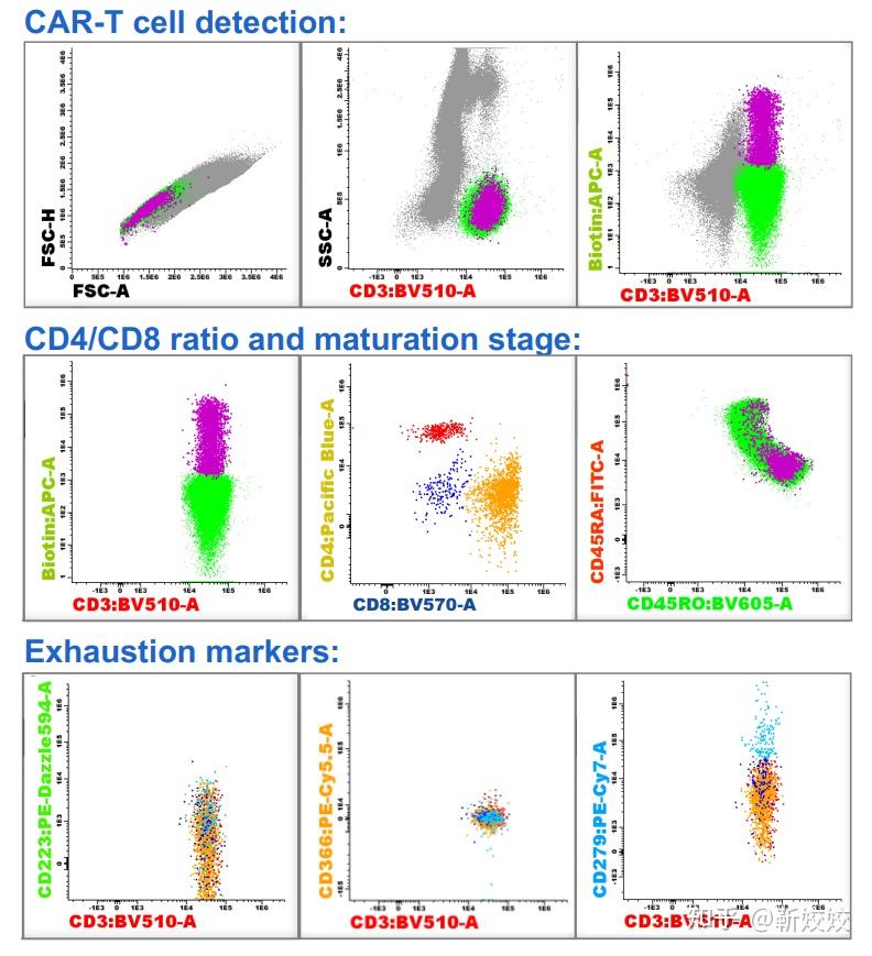 Cytek光谱流式-3激光19色（20标记）CAR-T细胞治疗监测方案！ - 知乎