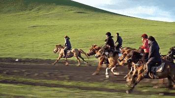 坝上草原/篝火/烤全羊/骑马/摄影/情人谷/闪电湖【五一2日】坝上草原